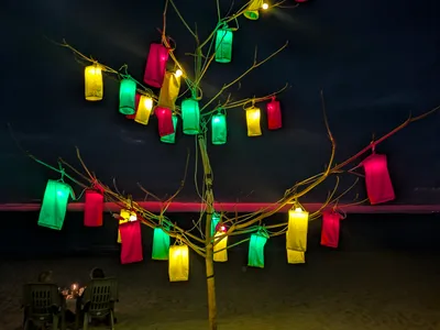 Lantern Tree