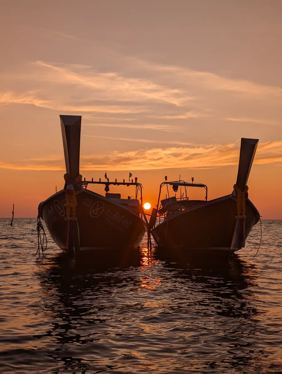 Twin Longtails at Sunset
